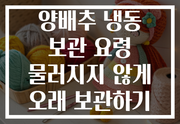 양배추 냉동 보관 요령 물러지지 않게 오래 보관하기