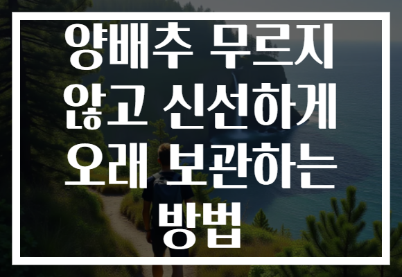 양배추 무르지 않고 신선하게 오래 보관하는 방법