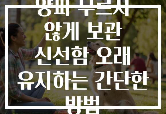양파 무르지 않게 보관 신선함 오래 유지하는 간단한 방법