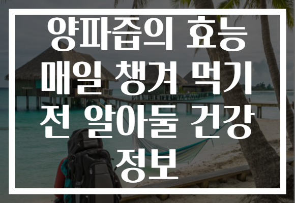 양파즙의 효능 매일 챙겨 먹기 전 알아둘 건강 정보