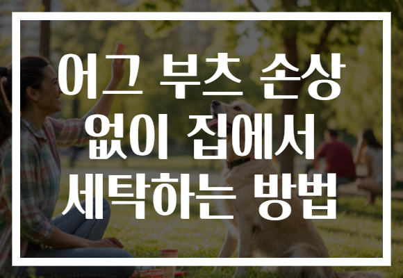어그 부츠 손상 없이 집에서 세탁하는 방법