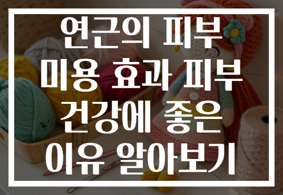 연근의 피부 미용 효과 피부 건강에 좋은 이유 알아보기