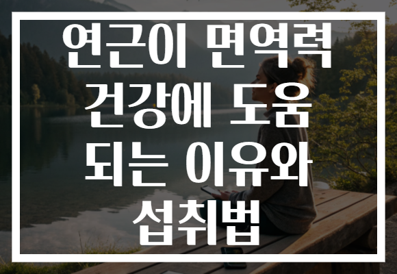 연근이 면역력 건강에 도움 되는 이유와 섭취법