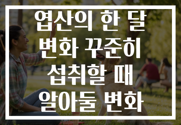 엽산의 한 달 변화 꾸준히 섭취할 때 알아둘 변화