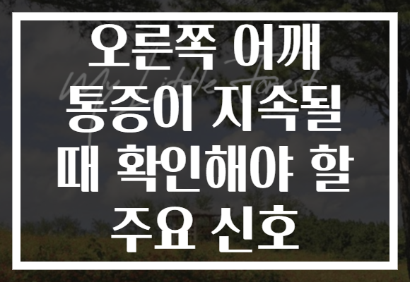 오른쪽 어깨 통증이 지속될 때 확인해야 할 주요 신호