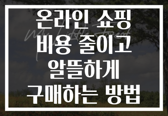 온라인 쇼핑 비용 줄이고 알뜰하게 구매하는 방법