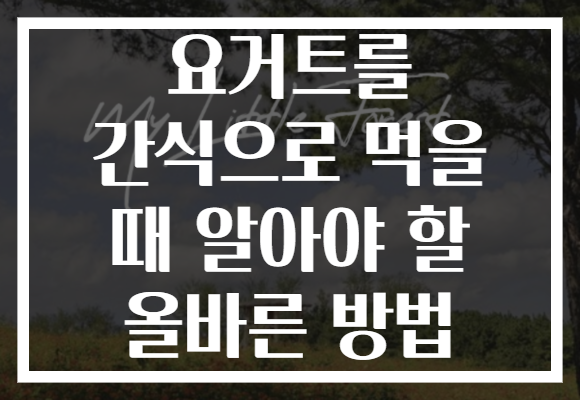 요거트를 간식으로 먹을 때 알아야 할 올바른 방법