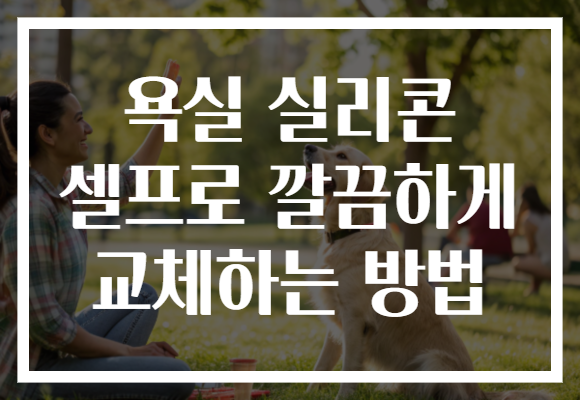 욕실 실리콘 셀프로 깔끔하게 교체하는 방법