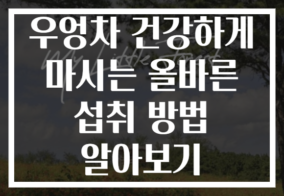 우엉차 건강하게 마시는 올바른 섭취 방법 알아보기