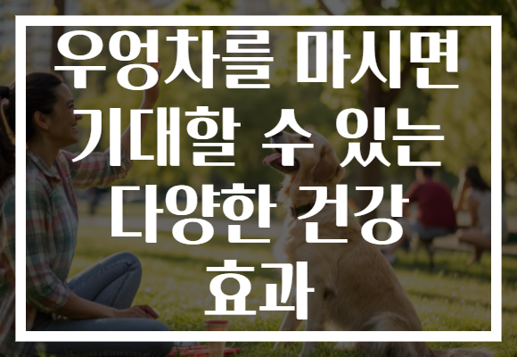 우엉차를 마시면 기대할 수 있는 다양한 건강 효과