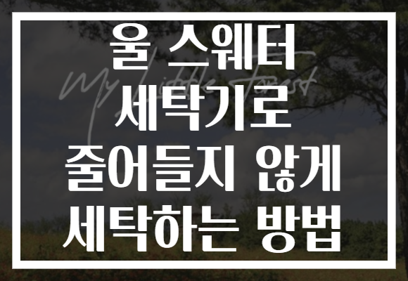 울 스웨터 세탁기로 줄어들지 않게 세탁하는 방법