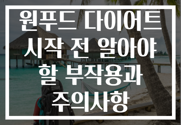 원푸드 다이어트 시작 전 알아야 할 부작용과 주의사항