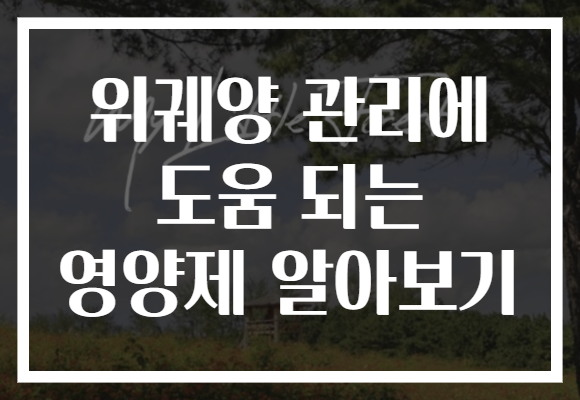 위궤양 관리에 도움 되는 영양제 알아보기