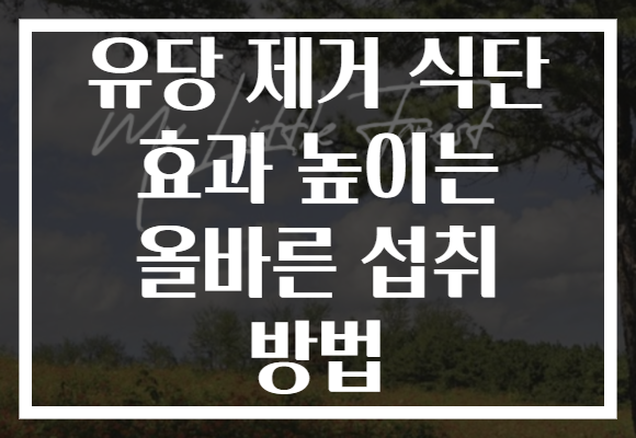 유당 제거 식단 효과 높이는 올바른 섭취 방법