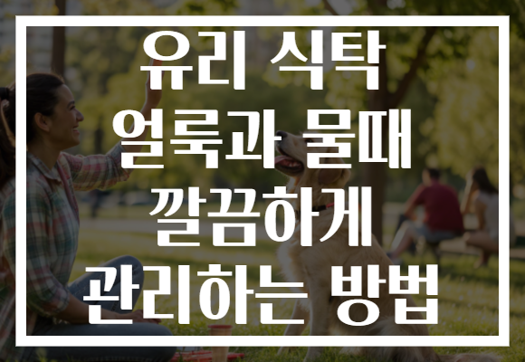 유리 식탁 얼룩과 물때 깔끔하게 관리하는 방법