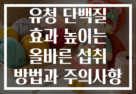 유청 단백질 효과 높이는 올바른 섭취 방법과 주의사항