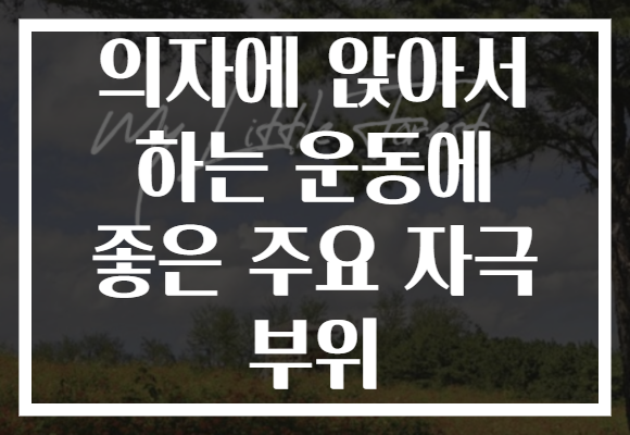 의자에 앉아서 하는 운동에 좋은 주요 자극 부위