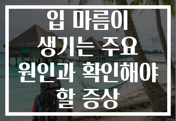 입 마름이 생기는 주요 원인과 확인해야 할 증상