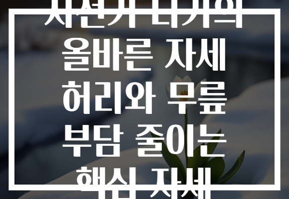 자전거 타기의 올바른 자세 허리와 무릎 부담 줄이는 핵심 자세