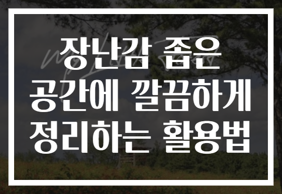 장난감 좁은 공간에 깔끔하게 정리하는 활용법