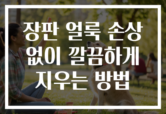 장판 얼룩 손상 없이 깔끔하게 지우는 방법