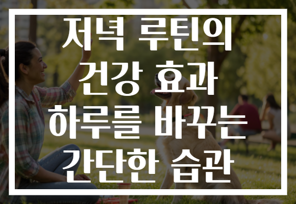저녁 루틴의 건강 효과 하루를 바꾸는 간단한 습관