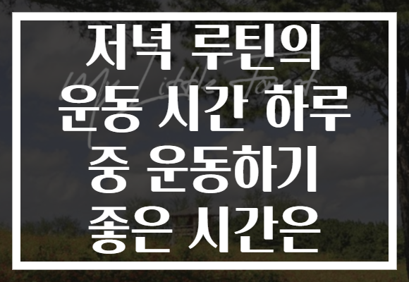 저녁 루틴의 운동 시간 하루 중 운동하기 좋은 시간은