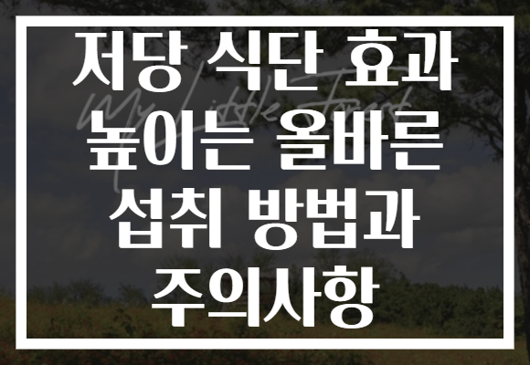 저당 식단 효과 높이는 올바른 섭취 방법과 주의사항