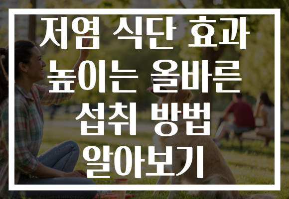 저염 식단 효과 높이는 올바른 섭취 방법 알아보기