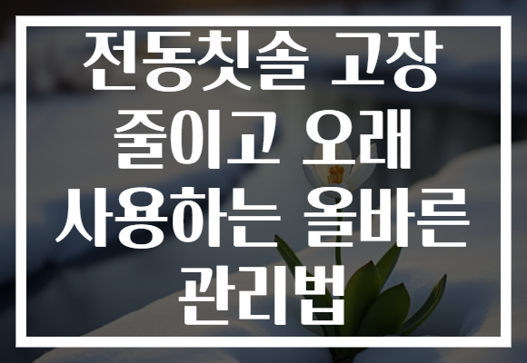 전동칫솔 고장 줄이고 오래 사용하는 올바른 관리법