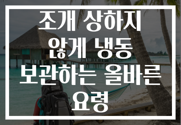 조개 상하지 않게 냉동 보관하는 올바른 요령