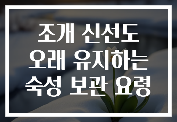 조개 신선도 오래 유지하는 숙성 보관 요령
