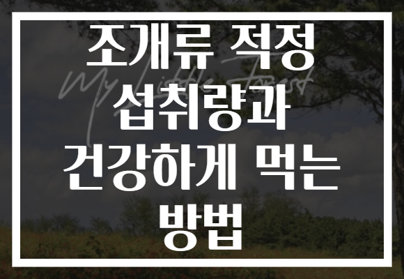 조개류 적정 섭취량과 건강하게 먹는 방법
