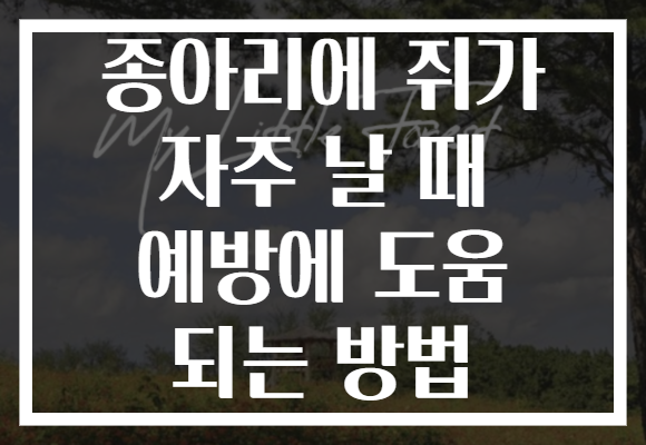 종아리에 쥐가 자주 날 때 예방에 도움 되는 방법