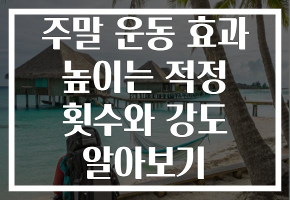 주말 운동 효과 높이는 적정 횟수와 강도 알아보기
