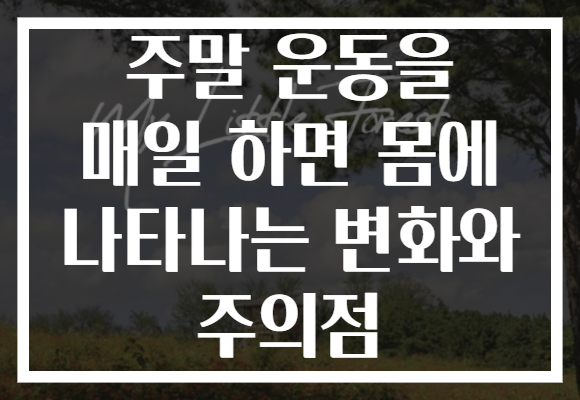 주말 운동을 매일 하면 몸에 나타나는 변화와 주의점