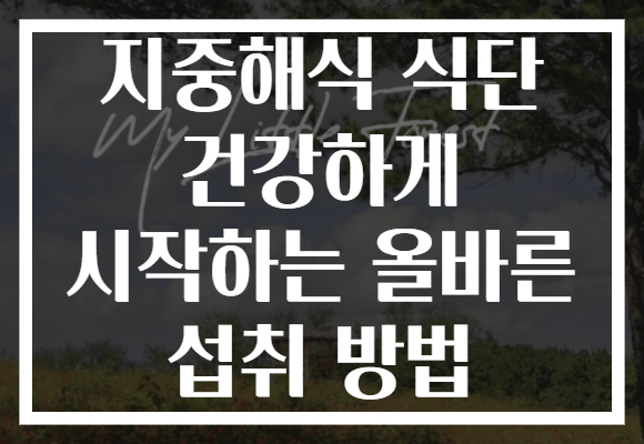 지중해식 식단 건강하게 시작하는 올바른 섭취 방법