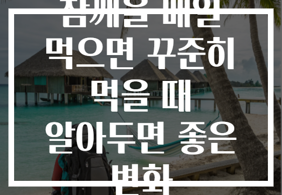 참깨을 매일 먹으면 꾸준히 먹을 때 알아두면 좋은 변화