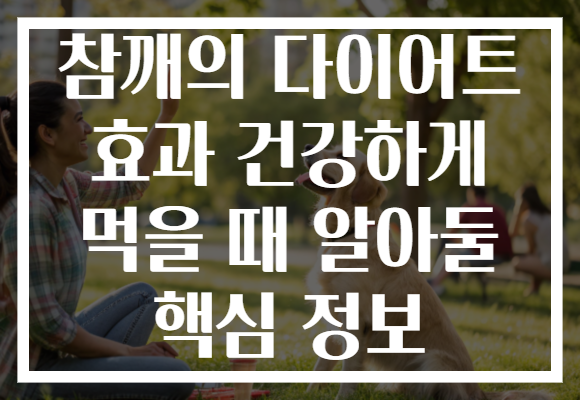 참깨의 다이어트 효과 건강하게 먹을 때 알아둘 핵심 정보