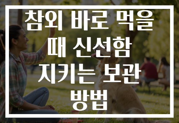 참외 바로 먹을 때 신선함 지키는 보관 방법