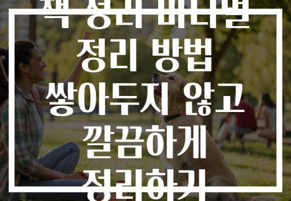책 정리 미니멀 정리 방법 쌓아두지 않고 깔끔하게 정리하기