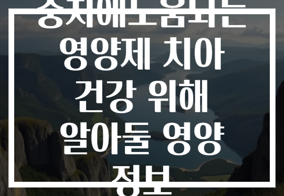 충치에도움되는 영양제 치아 건강 위해 알아둘 영양 정보