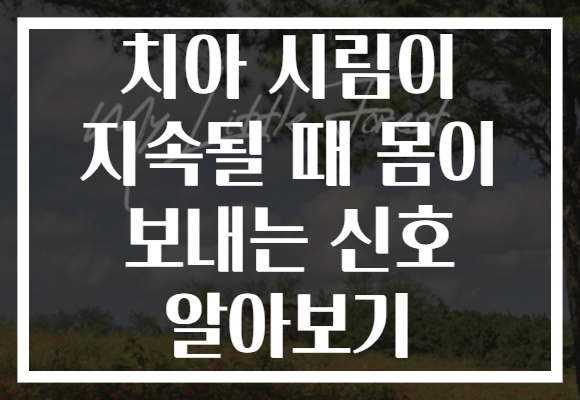 치아 시림이 지속될 때 몸이 보내는 신호 알아보기