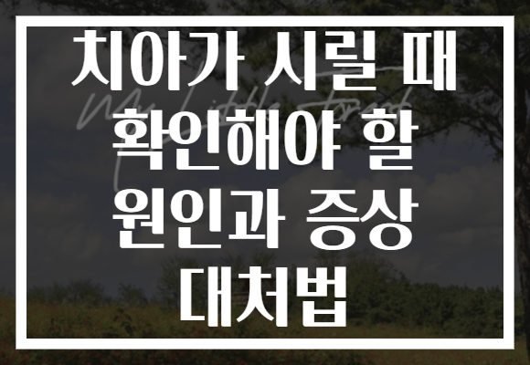 치아가 시릴 때 확인해야 할 원인과 증상 대처법