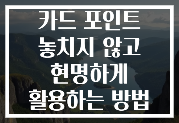 카드 포인트 놓치지 않고 현명하게 활용하는 방법