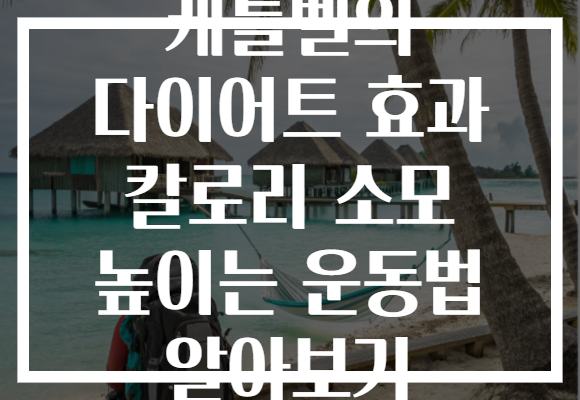 케틀벨의 다이어트 효과 칼로리 소모 높이는 운동법 알아보기
