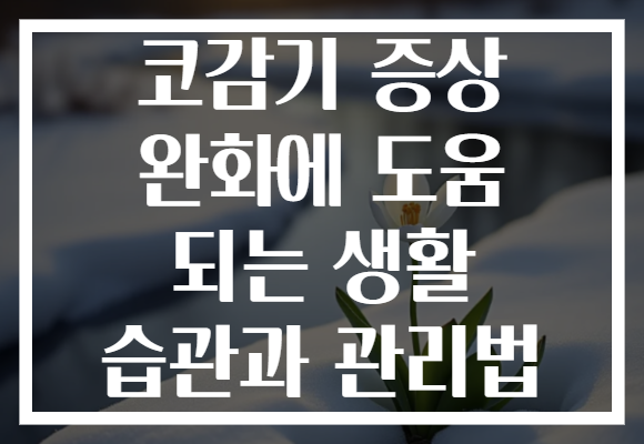 코감기 증상 완화에 도움 되는 생활 습관과 관리법