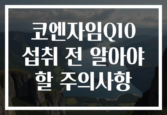 코엔자임Q10 섭취 전 알아야 할 주의사항