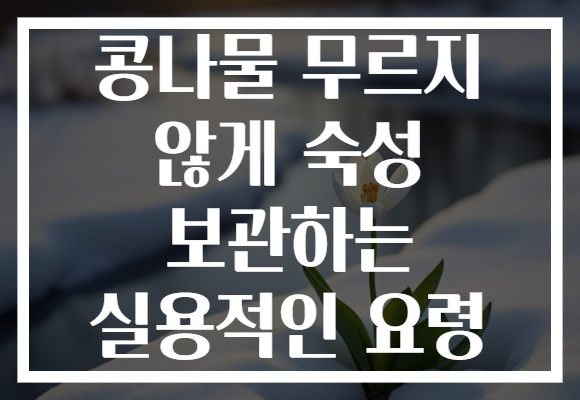 콩나물 무르지 않게 숙성 보관하는 실용적인 요령