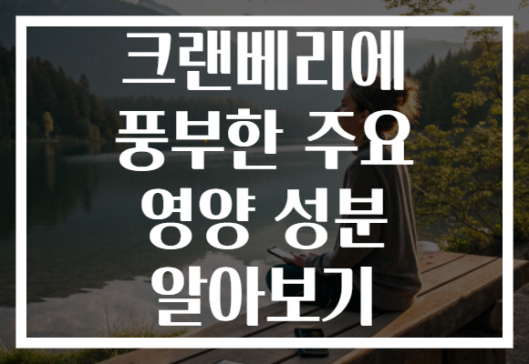 크랜베리에 풍부한 주요 영양 성분 알아보기
